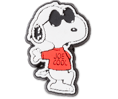 Snoopy Sunglasses