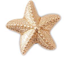 Gold Star Fish