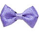 Purple Giant Bow