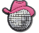 Cowgirl Disco Ball